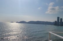 Busan Highlights Day Tour from Seoul by KTX with Blueline train