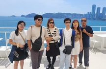 Busan Highlights Day Tour from Seoul by KTX with Blueline train