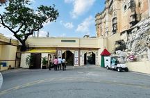 Private Udaipur Full Day Sightseeing Tour with Guide