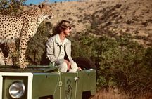 Ann van Dyk Cheetah Centre