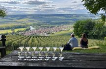 Small Group Champagne Tour from Paris, Tastings and Hotel Pickup