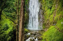 Kilimanjaro : Cooking, Brew, Hiking & Feast in Materuni Village