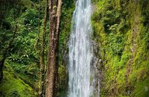 Materuni Waterfalls Hiking & Coffee Farms - Tuk Tuk Experiences