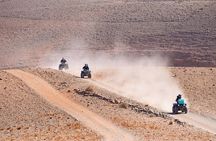 Marrakech Desert Agafay Quad with Camel Ride and Lunch at Pool
