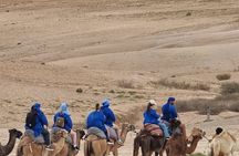 Marrakech Desert Agafay Quad with Camel Ride and Lunch at Pool