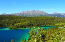 Arctic Day: Carcross & Southern Lakes Hiking Tour | full day