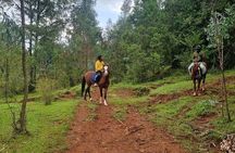 Horse Ride and Wild Hyenas Adventure in the Addis Highlands