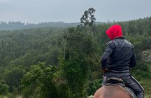 Horse Ride and Wild Hyenas Adventure in the Addis Highlands