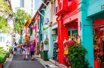 Small Group Singapore City, Cultural & Heritage Tour by CYT