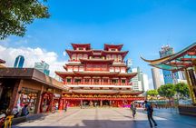 Small Group Singapore City, Cultural & Heritage Tour by CYT