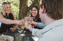 Queenstown: Afternoon Wine & Beer Tour 12 Tastings & Platters