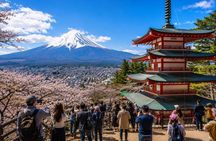 Private Tour to Mount Fuji and Hakone - A Personalized Experience