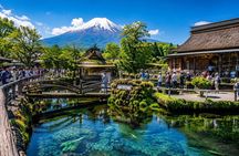 Private Tour to Mount Fuji and Hakone - A Personalized Experience