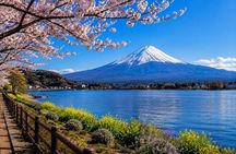 Private Tour to Mount Fuji and Hakone - A Personalized Experience