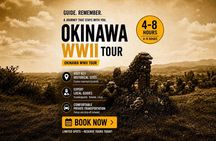 Okinawa WWII History Tour with Guide & Driver | 1–8 Guests