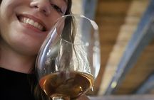 Konoba Bratanić A Journey Through Wine Heritage