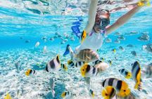 Blue Lagoon Snorkeling & East Bali Sightseeing Tour