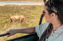 Fly-in Full Day Safari to Mikumi National Park from Zanzibar
