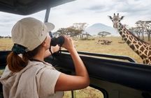 Fly-in Full Day Safari to Mikumi National Park from Zanzibar
