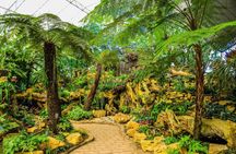 Green Planet Dubai Indoor Rainforest Entry Tickets
