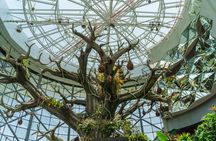 Green Planet Dubai Indoor Rainforest Entry Tickets