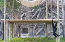 Green Planet Dubai Indoor Rainforest Entry Tickets