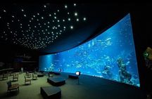 Gran Canaria Tour to the Poem of the Sea and Las Palmas Pier