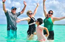 Saona Island Catamaran: Natural Pool, Starfish, Lunch & Bar
