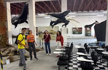 Guided Whale Watching and History Tour from Florianopolis