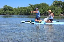 PRIVATE Guided Mangrove Eco-Tour Adventure