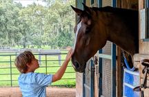 Ocala Horse Farm Insider Tour of Three Local Farms