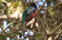 Sierra Vallejo Birdwatching & Chocolate Experience