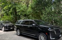Private Niagara Falls Tour in a Luxury SUV