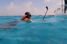 Cancún Clear Boat: Caribbean Swim, Reef Views Free Drinks & Photo