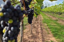 PEI Fine Wine Tasting Tour