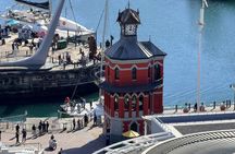 Robben Island and Table Mountain Tour with Transfers and Tickets