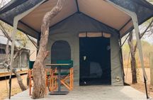 3 Day Kruger Glamping Adventure
