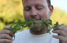 Naxos Herbal Garden Experience: Plant, Explore & Adopt Your Herb