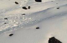 7-Day Kilimanjaro Machame Route Trek – Summit Mount Kilimanjaro.