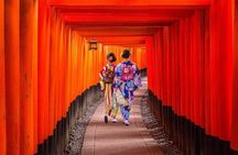 Kyoto Luxury Private Car Tour with Local Guide-Nara&Osaka Options