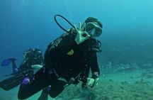 Playa Blanca Discover Scuba Diving at Flamingo Beach free videos