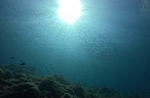 Playa Blanca Discover Scuba Diving at Flamingo Beach free videos