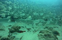 Playa Blanca Discover Scuba Diving at Flamingo Beach free videos