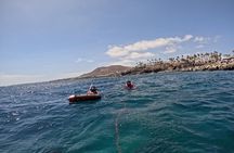 Playa Blanca Snorkeling Experience + free videos