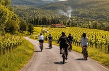 Chianti Rufina: ebike tour virtual-guided