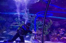 Dubai Aquarium and Underwater Zoo Admission Ticket with Options