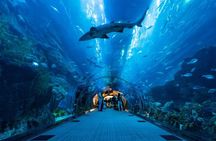 Dubai Aquarium and Underwater Zoo Admission Ticket with Options