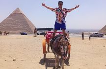 Half Day Giza Pyramids Private Car Tour with Camel
