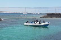 Get Wet Snorkeling Tour to Isla de Lobos from Corralejo