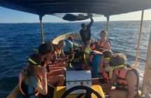 Puerto Morelos Reef Snorkeling with Private Transportation